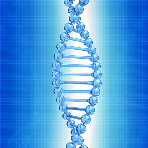 Molecular genetic