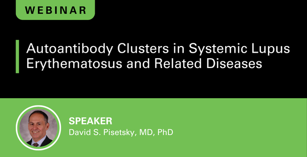 Autoantibody Clusters in Systemic Lupus Erythematosus and Related Diseases