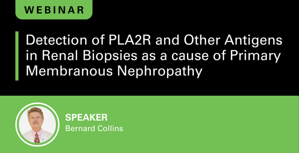 Detection of PLA2R and Other Antigens in Renal Biopsies as a cause of Primary Membranous Nephropathy
