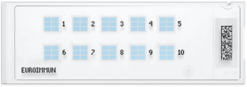 1979_Euroimmun_BIOCHIP_web2