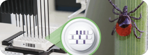 EUROMicroblot_Testsystem_und_Automatisierung@2x