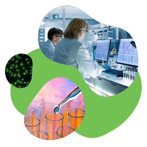 Euroimmun_timeline_main_web