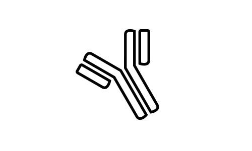 Euroimmun US Autoimmune