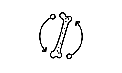 Euroimmun US Bone metabolism