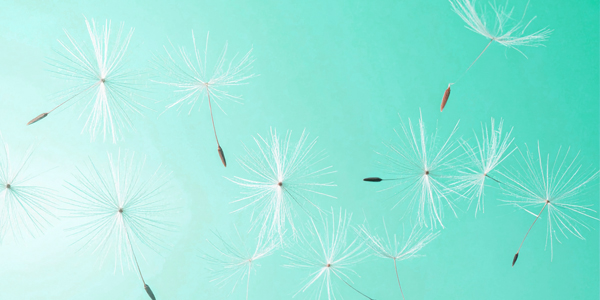 Contact Allergy Product Team