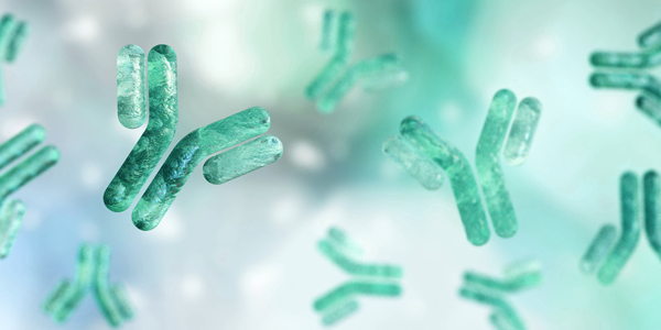 Contact Autoimmune Product Team