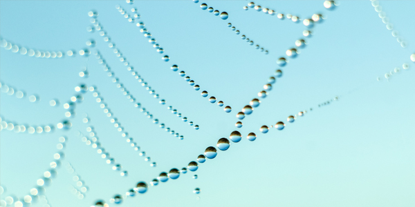 Contact Human Genetics Product Team