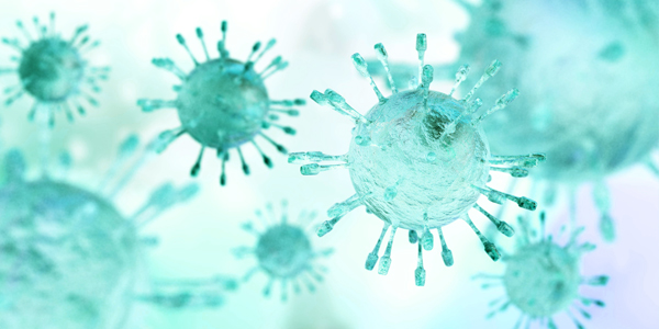 Contact Infectious Disease Product Team