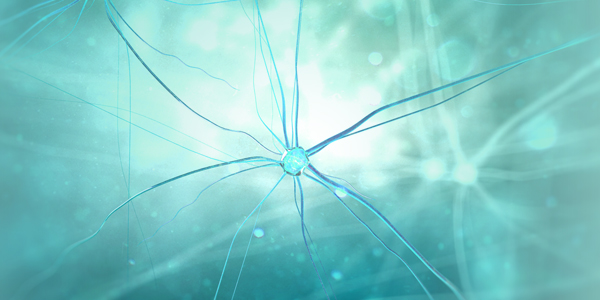 Contact Neurodegeneration Product Team